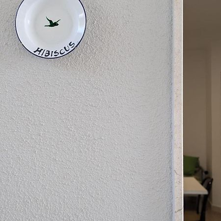 דירות מרינה די מנקוורסה Albatro Mare מראה חיצוני תמונה
